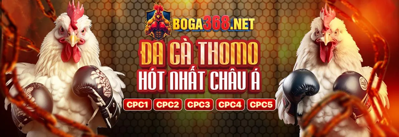 Lợi ích khi chọn df99 casino để cá cược